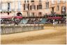 Prove di Addestramento Mattutine: la gallery di Benedetta Aucone